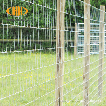 Fence a maglie del campo agricola zincato 5 piedi